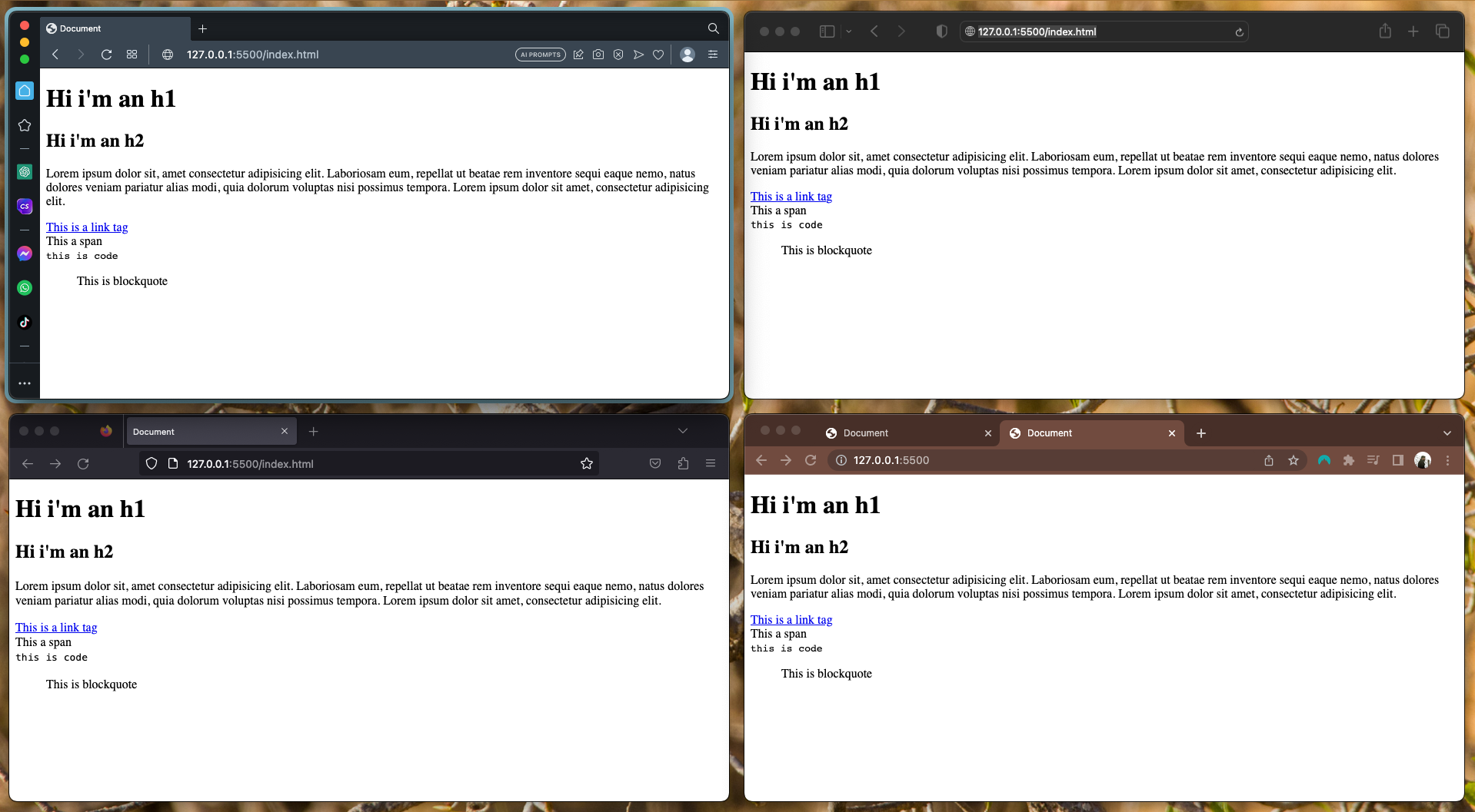 Pic of 4 browsers showing css