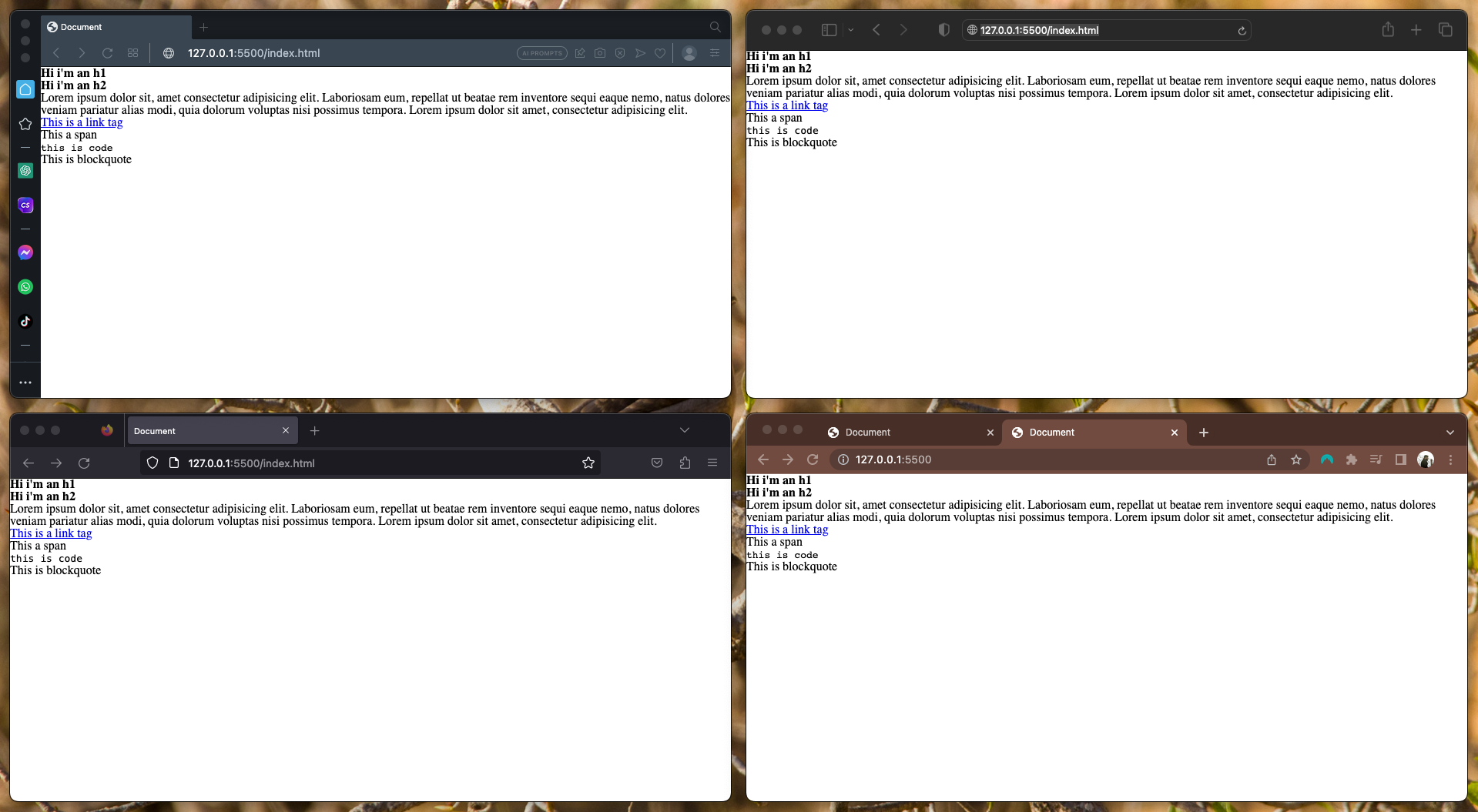 Pic of 4 browsers showing css